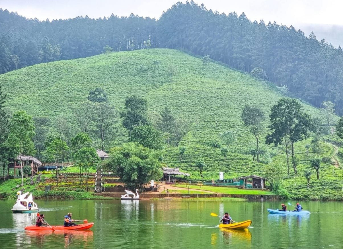 whatsapp image 2025 11 15 at 6.45.25 pm